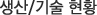 생산/기술 현황