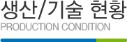 생산/기술 현황